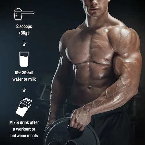 True Sculpt – Delicious Protein Shakes for Your Fitness Goals (Chocolate)